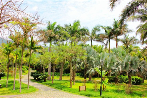 万宁日月湾房价未来走势分析 万宁日月湾房价未来走势分析