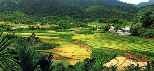 太阳河温泉花园和千鸿茂绿园小区哪个合适买?海南万宁市买房养老过冬值得买吗?