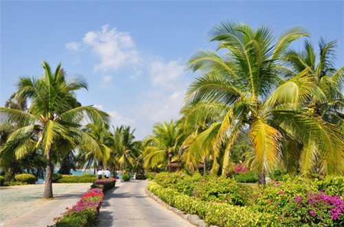 海南房价下跌,万紫花苑价格待揭秘。