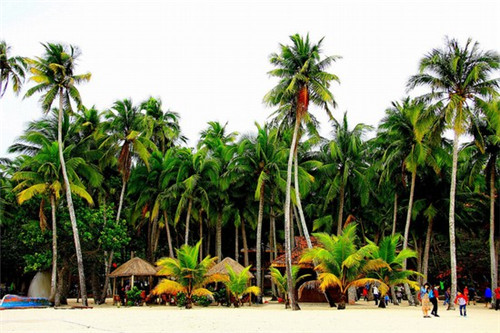 2025万宁房价如何? 2025万宁房价如何?