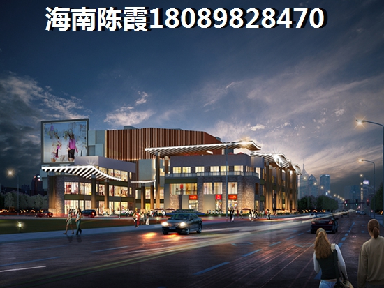 万宁小户型酒店式公寓还可以生纸？